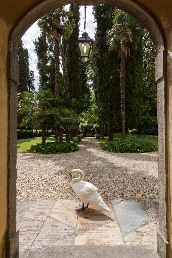 Coselli 'S Collection. Luxury Villas Rental Capannori Zewnętrze zdjęcie